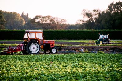 naseem buras  gR xZU2KcY unsplash